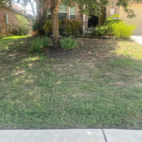 Flower Bed Weeding by Cole's Lawn Care Service reviewed on August 26, 2020