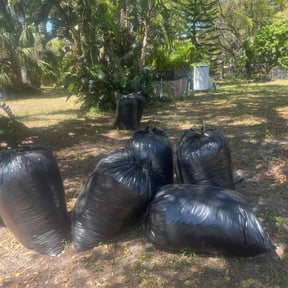 Leaf Removal by Laupola's Landscaping reviewed on May 25, 2025
