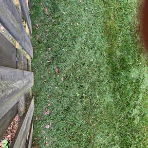 Leaf Removal by Jay R reviewed on May 15, 2025