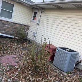 Bush Trimming by WBG Lawn Solutions reviewed on July 14, 2025