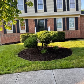 Mulching by :) B.and.B :) reviewed on August 22, 2024