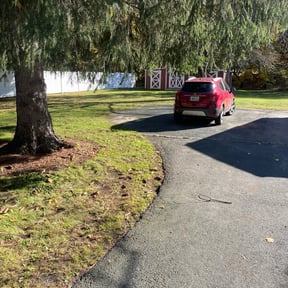 Leaf Removal by Randy's lawnmower reviewed on June 14, 2022