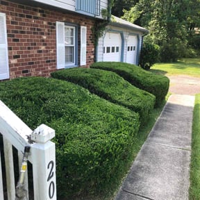 Bush Trimming by Price's Rite lawn care reviewed on June 24, 2022