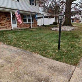 Leaf Removal by Brooks lawn Care reviewed on November 10, 2021