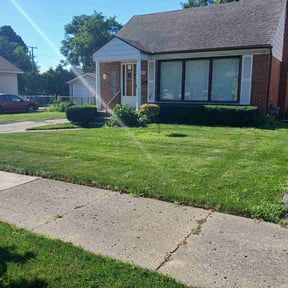 Bush Trimming by A1 Tree and Lawn Services reviewed on April 10, 2020