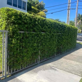 Bush Trimming by Luxury Lawncare reviewed on May 5, 2023
