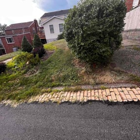 Cleanups by Boodoo Services reviewed on August 15, 2024
