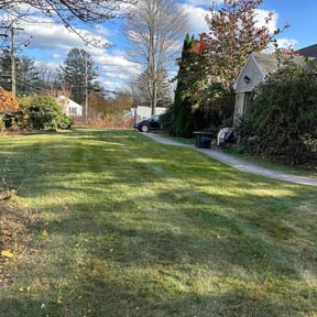 Leaf Removal by Poetry In Motion, LLC reviewed on April 13, 2022