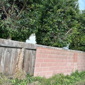 Bush Trimming by Blessed By The Best Properties LLC reviewed on July 4, 2019
