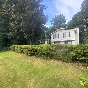 Bush Trimming by MPV Landscaping reviewed on July 18, 2022