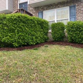 Landscaping by Green cuts lawn service reviewed on July 21, 2021