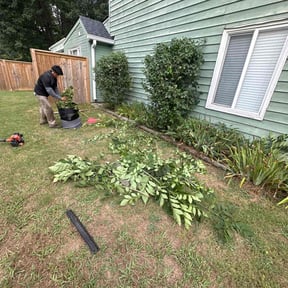 Bush Trimming by Persevere Complete Lawn Care reviewed on September 30, 2021