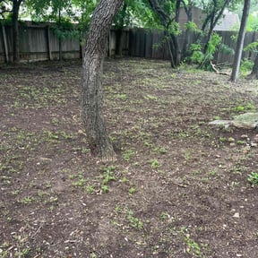 Leaf Removal by Kayala Lawncare reviewed on March 11, 2025