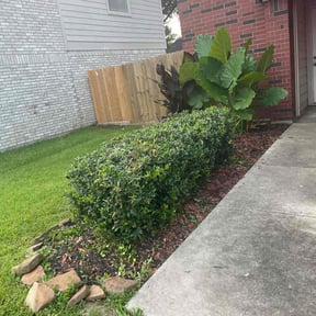 Bush Trimming by Beyond Green Landscaping reviewed on July 23, 2022