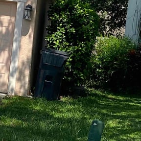 Bush Trimming by electric landscaping llc reviewed on December 17, 2024