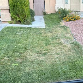 Bush Trimming by Red Rose Lawn Care reviewed on November 13, 2023