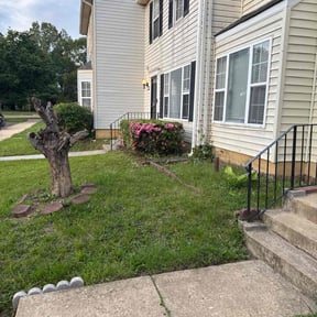 Bush Trimming by Three lawn care reviewed on June 7, 2022