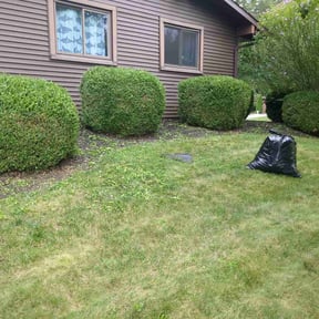 Bush Trimming by CNR Landscaping reviewed on August 24, 2024