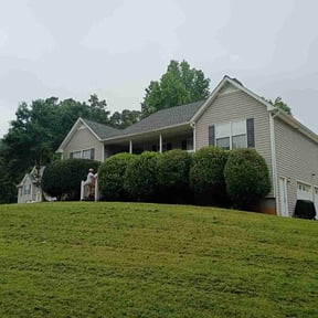 Bush Trimming by Figueroa Landscape Service reviewed on May 28, 2025