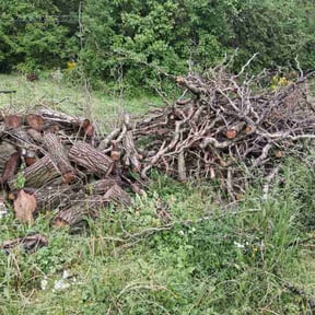 Cleanups by Hettie Mae Residential Services llc reviewed on May 28, 2022