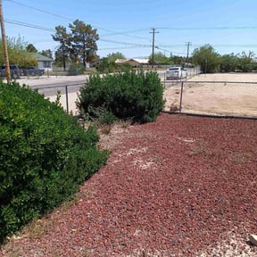 Bush Trimming by Greater vision landscaping and pressure washing reviewed on November 2, 2020