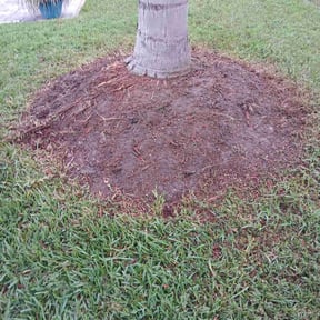 Mulching by Primos Grow&Mow reviewed on February 16, 2025