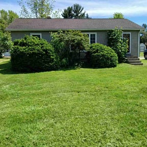 Bush Trimming by Champion Lawn Services reviewed on July 27, 2022