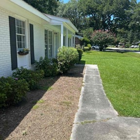 Bush Trimming by Tree to Table LLC reviewed on July 3, 2022