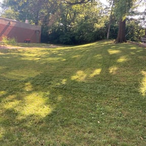 Bush Trimming by Bro J's LawnCare & Landscaping reviewed on November 1, 2024