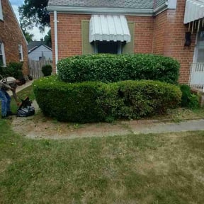 Bush Trimming by Thomas Lawn reviewed on February 25, 2025