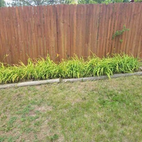 Weeding by El Caribe Lawn & Palms reviewed on January 13, 2022