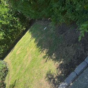 Mulching by LSF reviewed on May 9, 2022