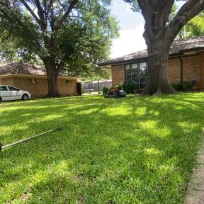 Bush Trimming by SteppingintheGreen LLC reviewed on June 17, 2022