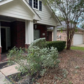 Bush Trimming by DMD LAWN SVC reviewed on June 5, 2025