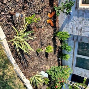 Flower Bed Weeding by 1621 Landscapes LLC reviewed on July 3, 2025