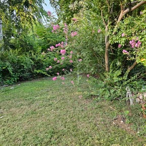 Cleanups by Anytime brush removal and lawn serv. reviewed on December 13, 2023