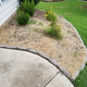 Flower Bed Weeding by American lawn care reviewed on July 22, 2022