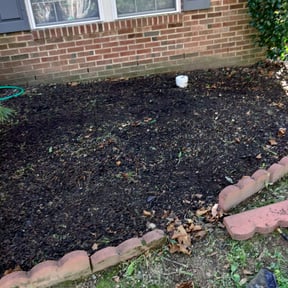 Landscaping by CraigScaped Lawn Love reviewed on July 14, 2025