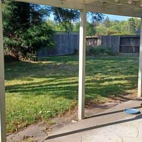 Bush Trimming by Christian Brothers Maintenance reviewed on July 9, 2025