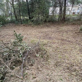 Cleanups by All Terrain Lawn Services reviewed on July 3, 2025