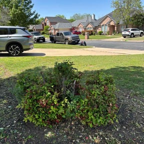 Bush Trimming by Luxury & Quality Lawn Care reviewed on July 1, 2022