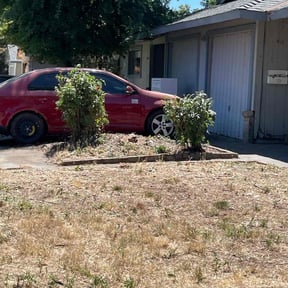 Bush Trimming by JBS inc reviewed on June 23, 2022