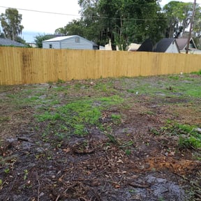 Cleanups by LSLTDallas/FortWorthTruGreen reviewed on August 7, 2024