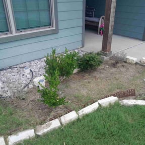Flower Bed Weeding by Straight edge mowing reviewed on March 23, 2025