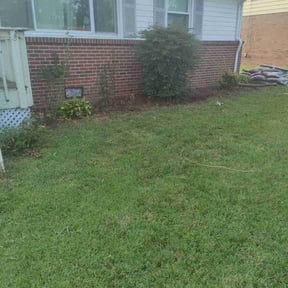 Flower Bed Weeding by Paul Ney reviewed on July 26, 2022