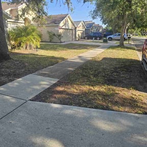 Leaf Removal by Clark on time lawn care reviewed on June 3, 2022