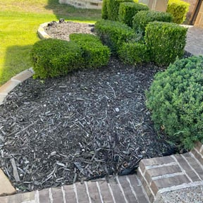 Flower Bed Weeding by The Yard Butler of DFW reviewed on July 9, 2022