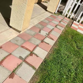 Flower Bed Weeding by Top Notch Lawn Care& MAINTENCE reviewed on March 2, 2022