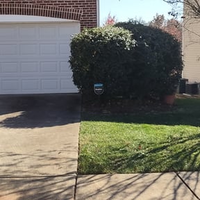 Bush Trimming by Creative Lawn Cuts & Landscaping reviewed on April 6, 2025