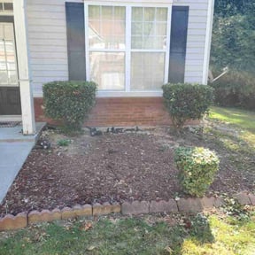 Bush Trimming by Maximusllc reviewed on February 10, 2025